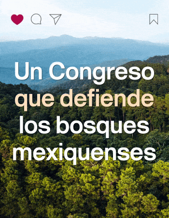 LEGISLATURA AGOSTO